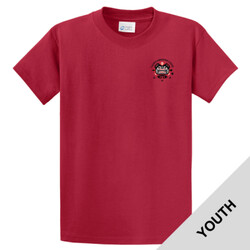 PC61Y - C126E003 - EMB - Youth Cotton T-Shirt